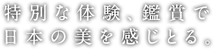特別な体験、鑑賞で日本の美を感じとる。