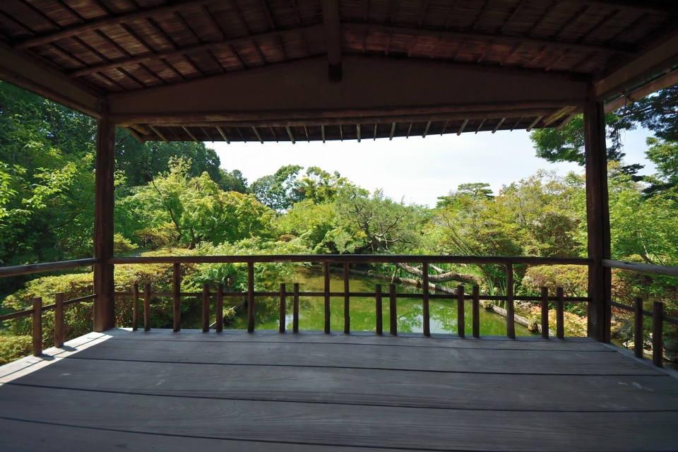Umenomiya-taisha Shrine   Photo3