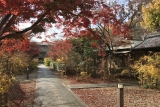 Nashinoki shrine  　Thumbnail3