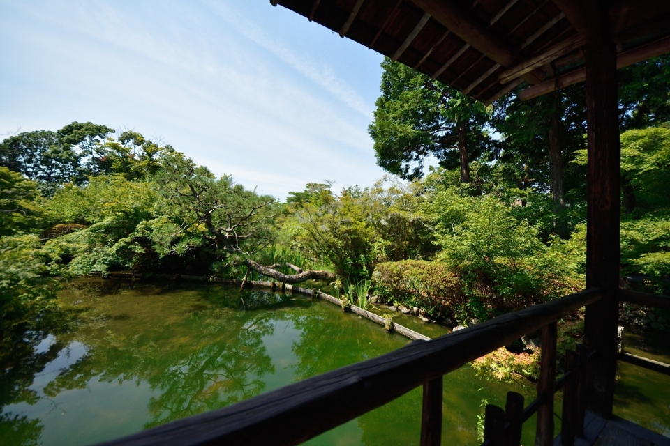 Umenomiya-taisha Shrine   Photo5