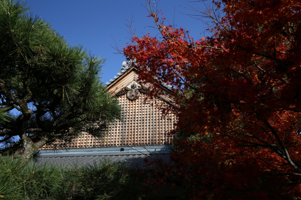 Shojoke-in,Head Temple  Photo6