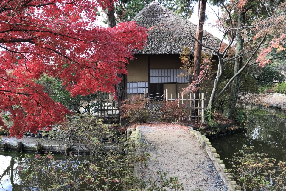 Umenomiya-taisha Shrine   Photo8