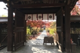 Nashinoki shrine  　Thumbnail8