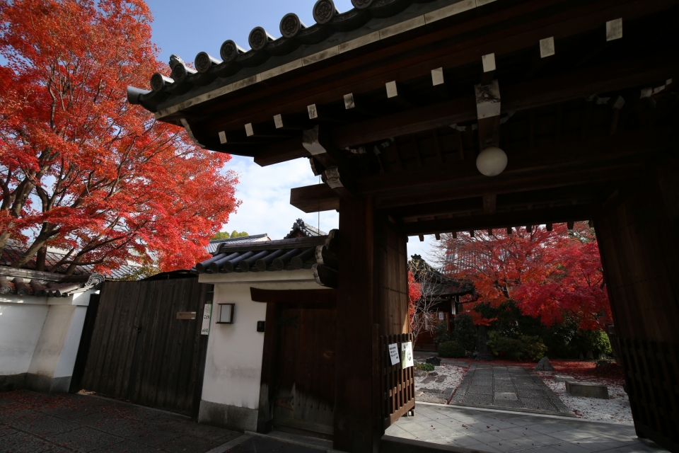  Choko-in Temple (Myoshin-ji branch of the Rinzai Zen school)　Photo9
