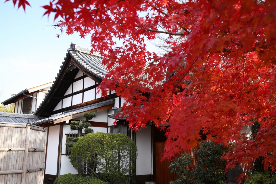  Choko-in Temple (Myoshin-ji branch of the Rinzai Zen school)　Photo10
