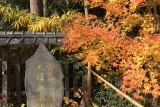 Nashinoki shrine  　Thumbnail10
