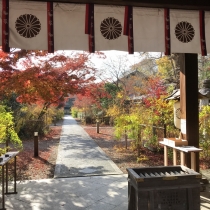 紅葉が奇麗です