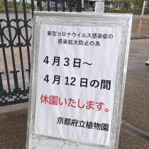 京都府立植物園も・・・