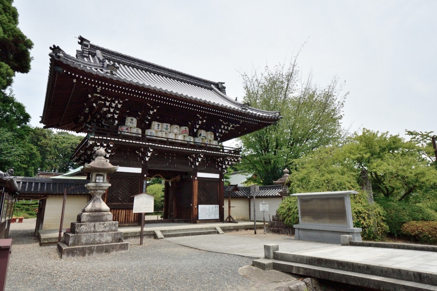 Umenomiya-taisha Shrine  